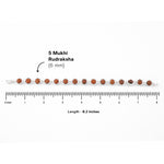 Rudraksha Silver Bracelet (Hexagon)