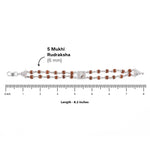 Premium Tortoise Double Row Rudraksha Bracelet