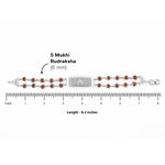 Original Rudraksha Silver Star Symbol double line Bracelet