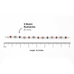 Original Rudraksha and Cylindrical Silver Beads Bracelet