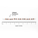 Rudraksha Silver Damaru Bracelet