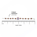 Rudraksha Silver Bracelet with Colorful Tortoise Single Line for Kids