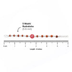 Rudraksha Silver Bracelet with Shree Single Line for Kids