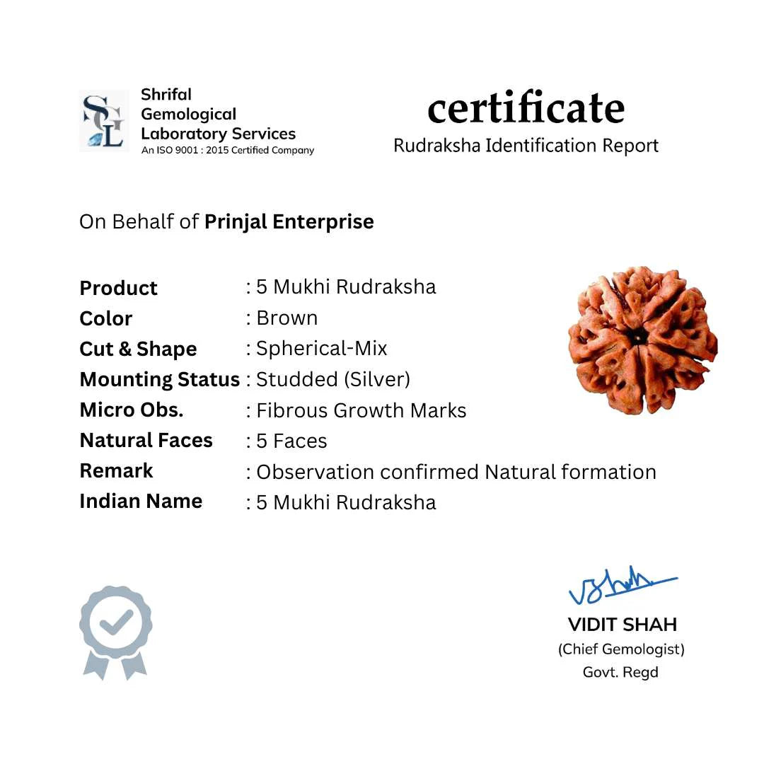Shiva Pendant (5 Mukhi Nepali Rudraksha)