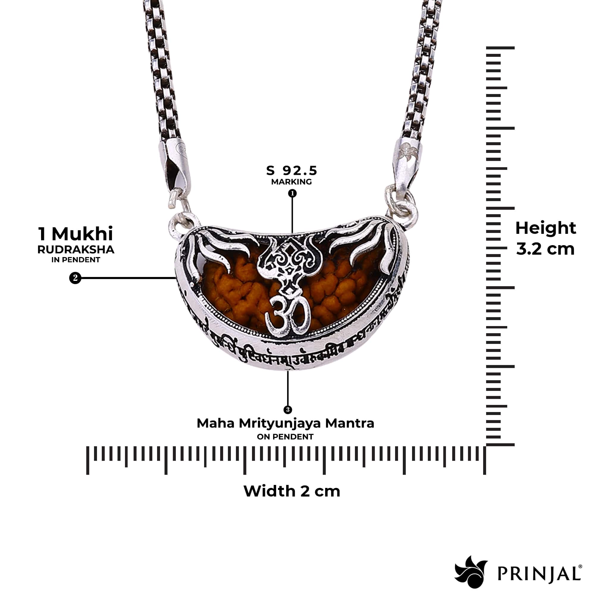 1 Mukhi Rudraksha with Trishul Silver Cap Pendant