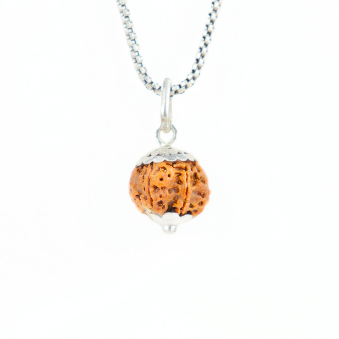 Silver Capping 6 Mukhi Rudraksha Pendant With Chain