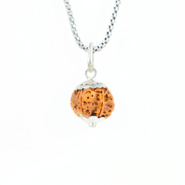 6 Mukhi Rudraksha Silver Capping Pendant ( Nepali )