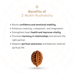 Benefits of 2 Mukhi Rudraksha 