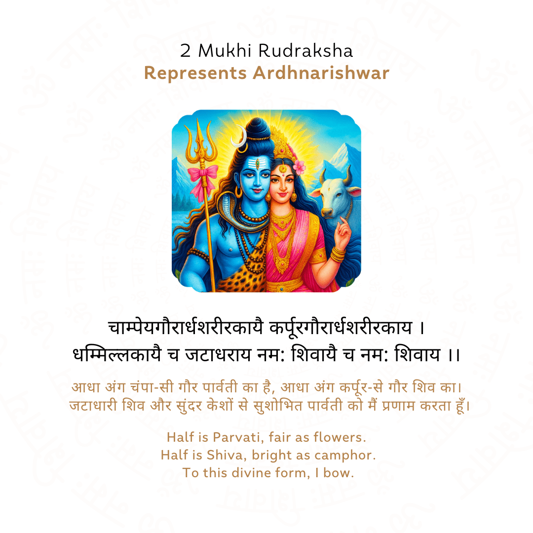 2 Mukhi Rudraksha Story