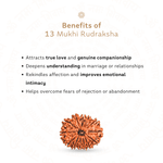 Benefits of 13 Mukhi Rudraksha 