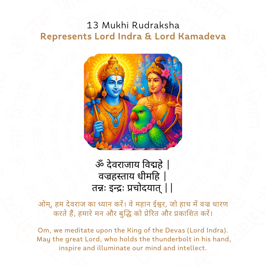 13 Mukhi Rudraksha Story