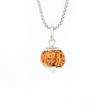 Silver Capping 6 Mukhi Rudraksha Pendant With Chain