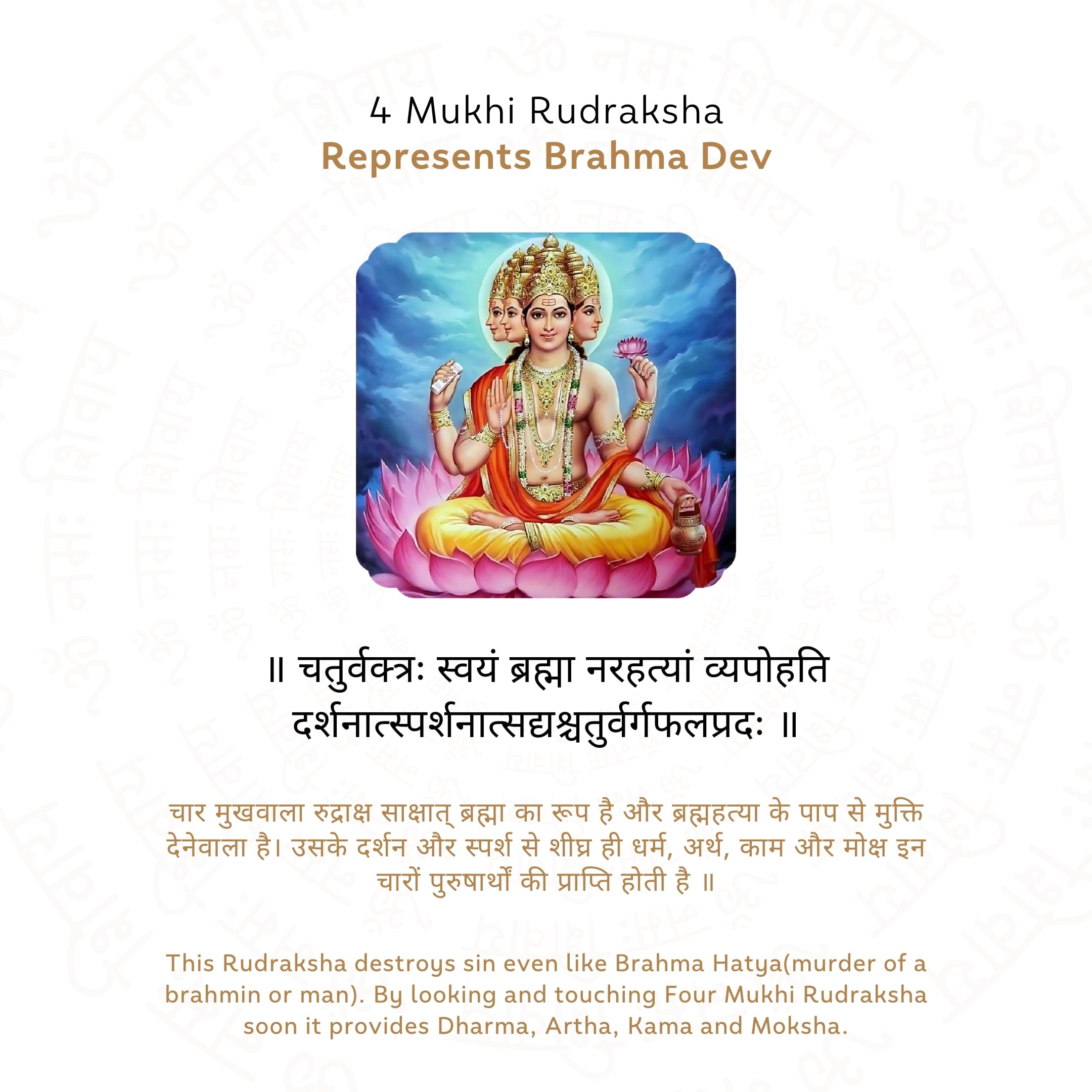 4 Mukhi Rudraksha Story
