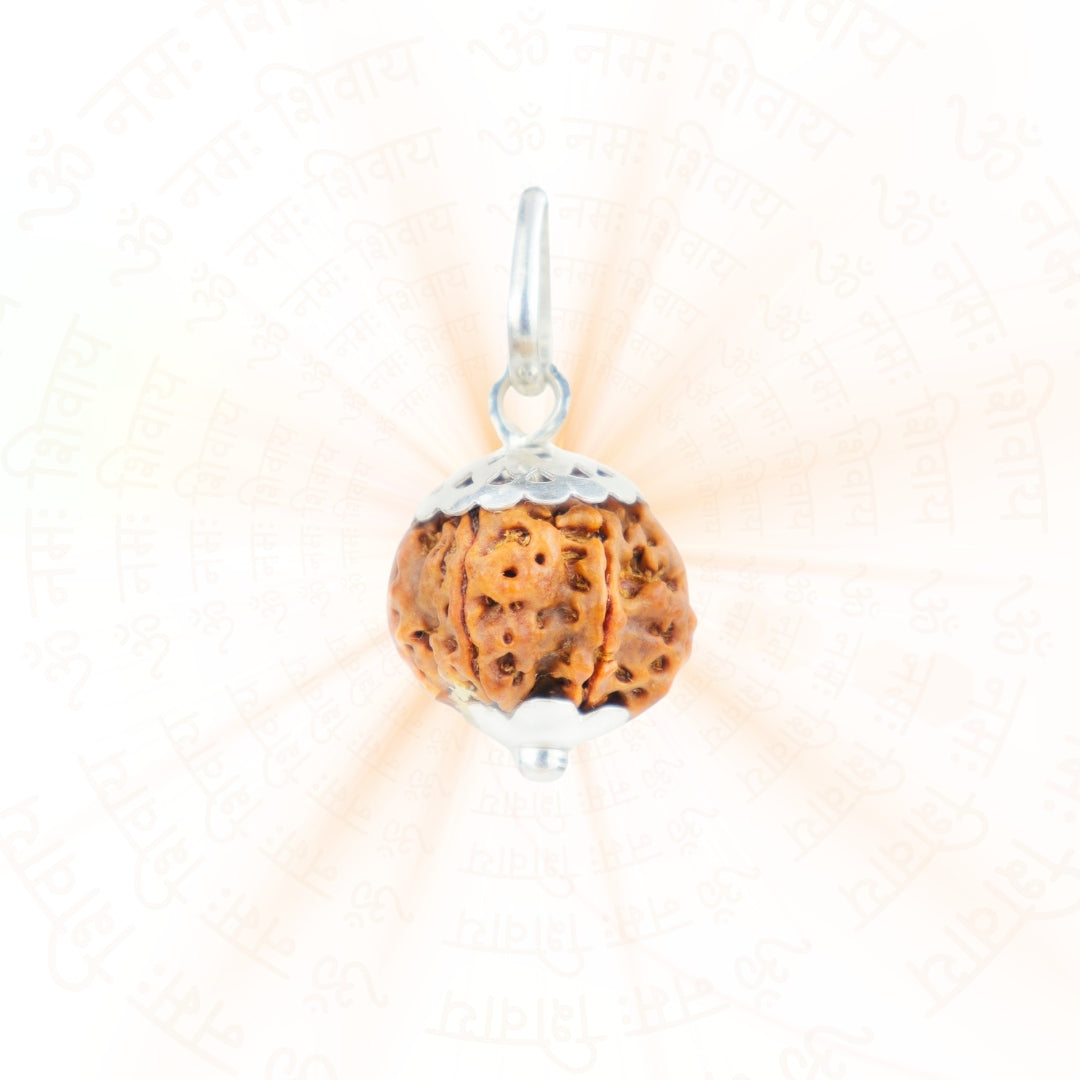 Silver Capping 6 Mukhi Rudraksha Pendant With Chain  ( Nepali )