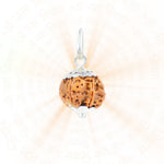 6 Mukhi Rudraksha Silver Capping Pendant ( Nepali )