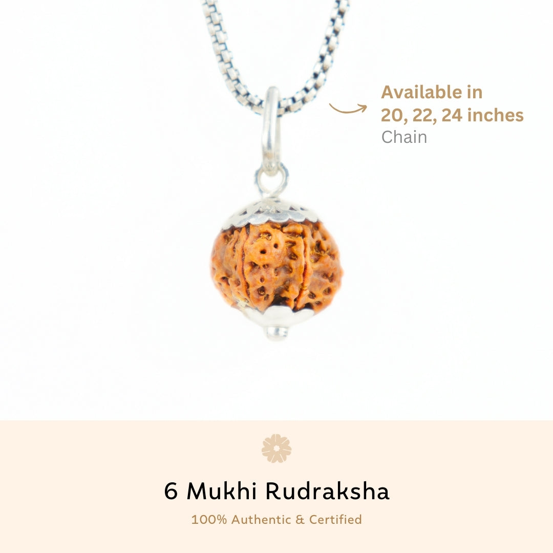 Organic Silver Capping 6 Mukhi Rudraksha Pendant With Chain