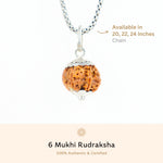 Organic Silver Capping 6 Mukhi Rudraksha Pendant With Chain