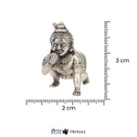 Laddu Gopal Silver Idol