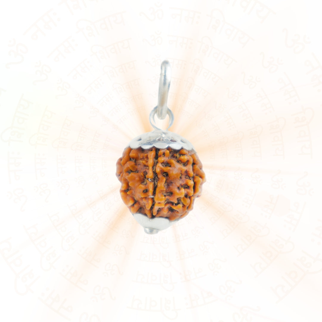 Silver Capping 7 Mukhi Rudraksha Pendant With Chain  ( Nepali )