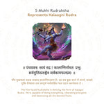 5 Mukhi Rudraksha Story