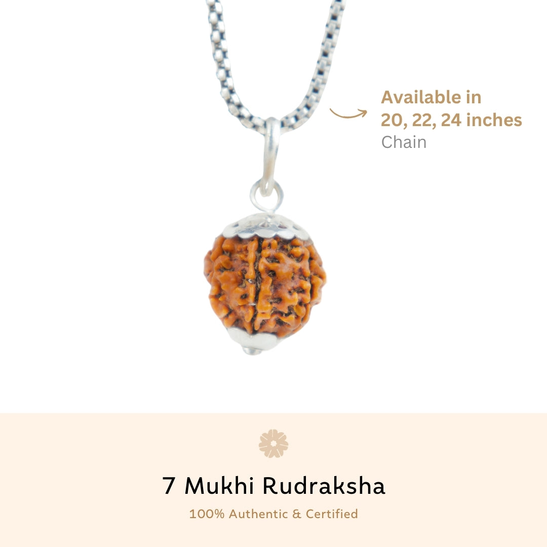 Organic Silver Capping 7 Mukhi Rudraksha Pendant With Chain