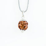 Silver Capping 3 Mukhi Rudraksha Pendant With Chain