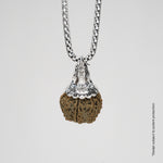 Adiyogi Pendant (8 Mukhi Nepali  Rudraksha)