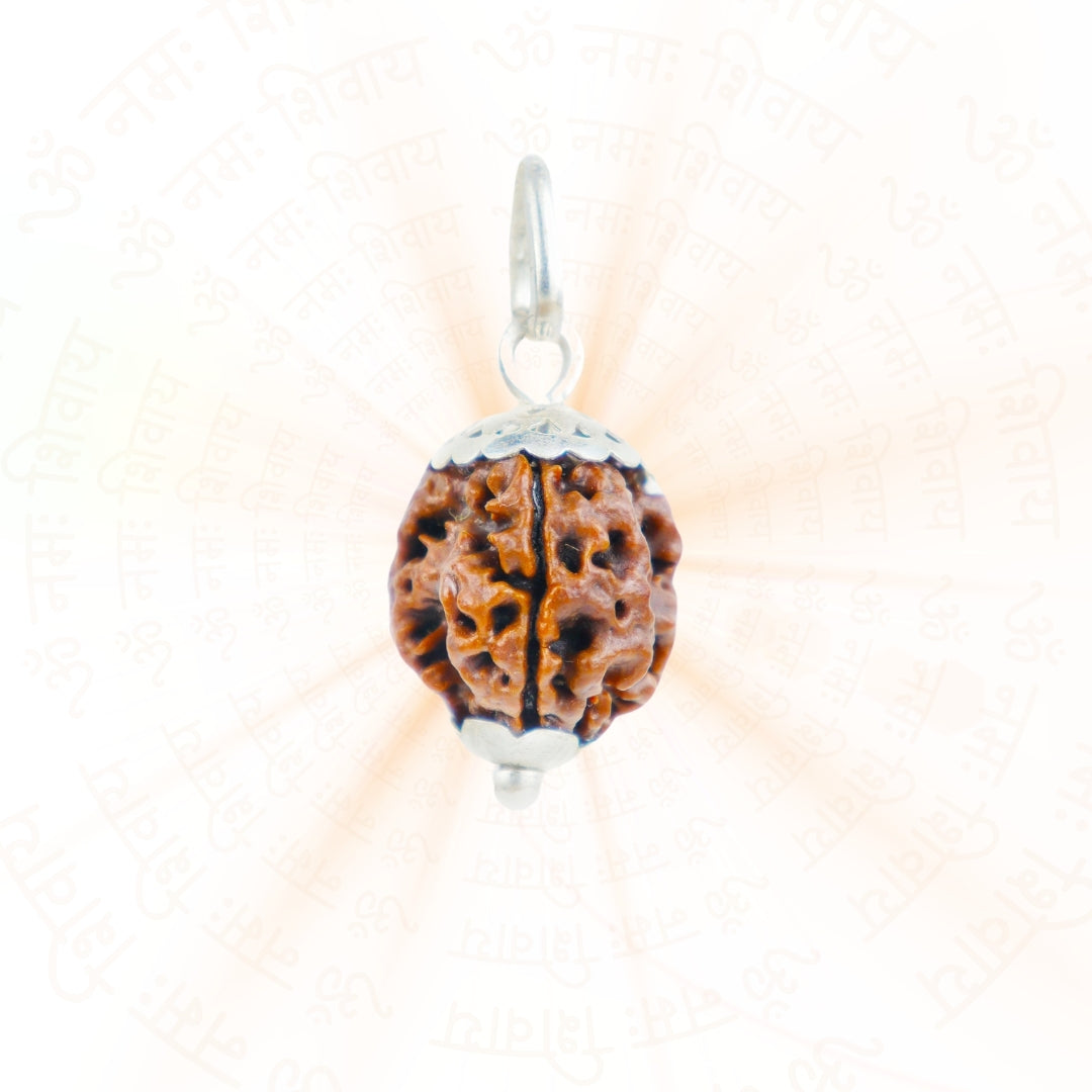 Silver Capping 3 Mukhi Rudraksha Pendant With Chain  ( Nepali )