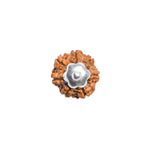 7 Mukhi Rudraksha Silver Capping Pendant ( Nepali )