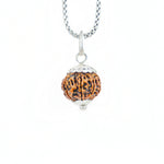 Silver Capping 8 Mukhi Rudraksha Pendant With Chain