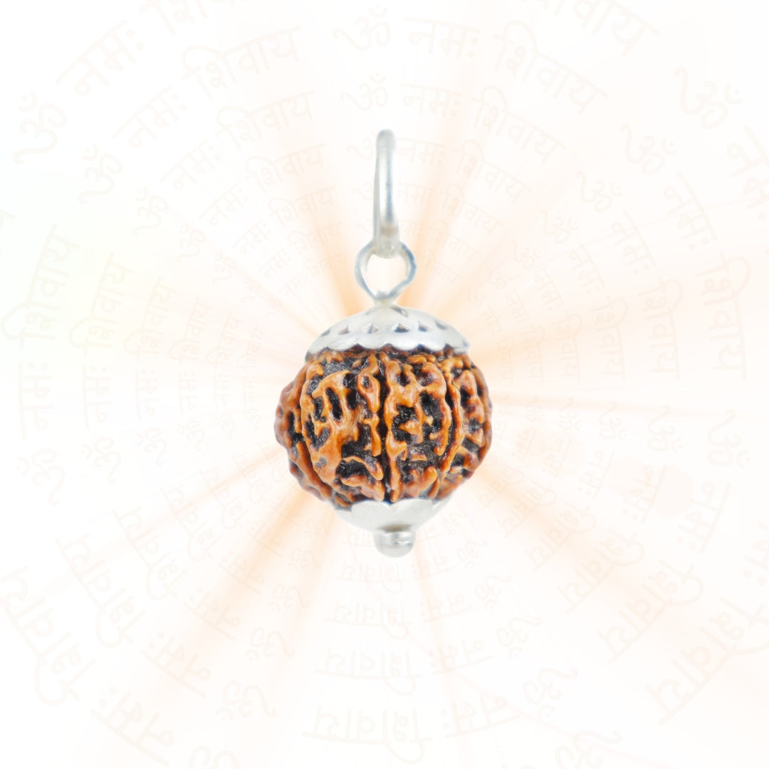 Silver Capping 8 Mukhi Rudraksha Pendant With Chain  ( Nepali )