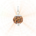 Authentic Silver Capping 8 Mukhi Rudraksha Pendant With Chain