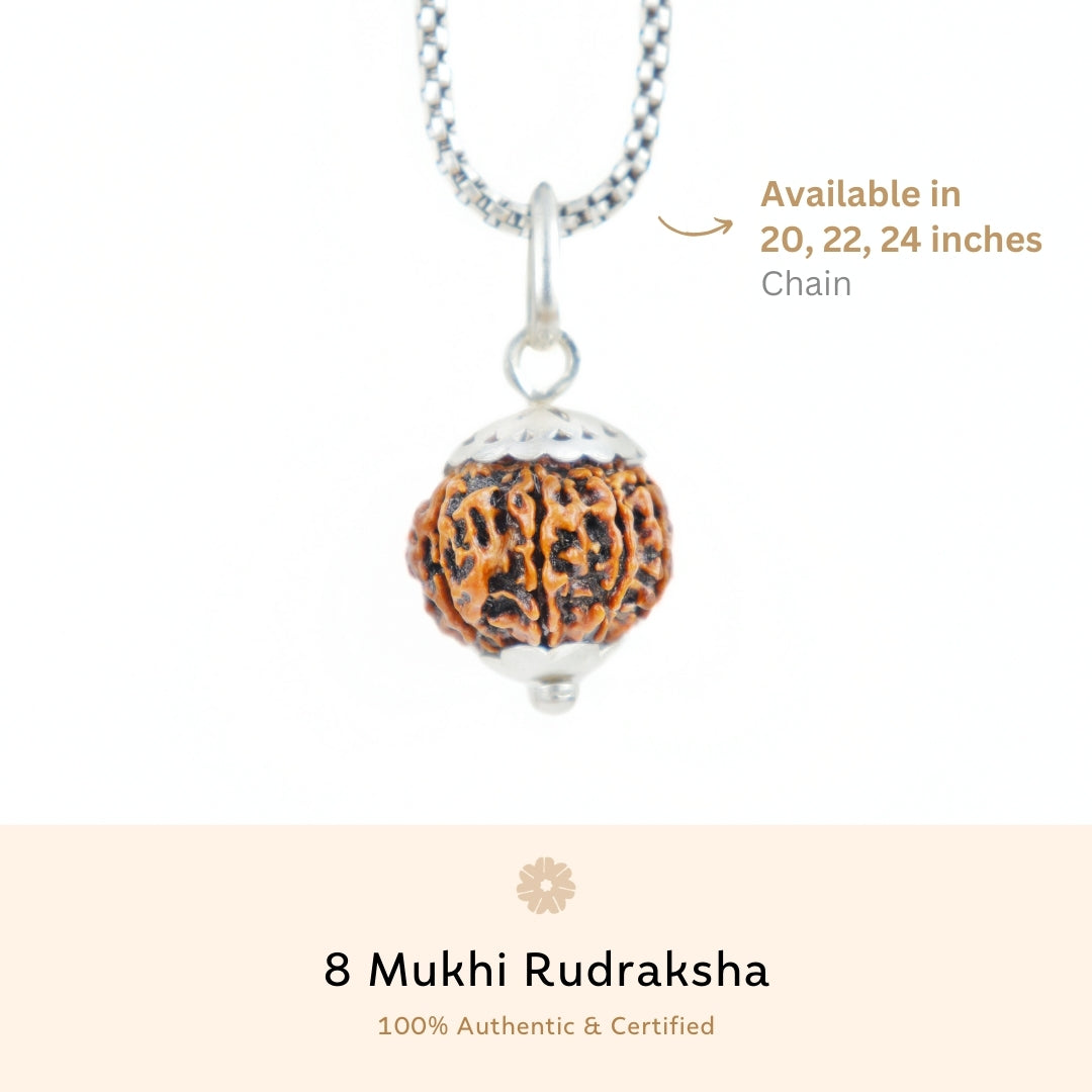 Organic Silver Capping 8 Mukhi Rudraksha Pendant With Chain