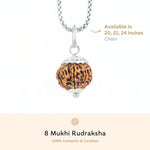 Organic Silver Capping 8 Mukhi Rudraksha Pendant With Chain