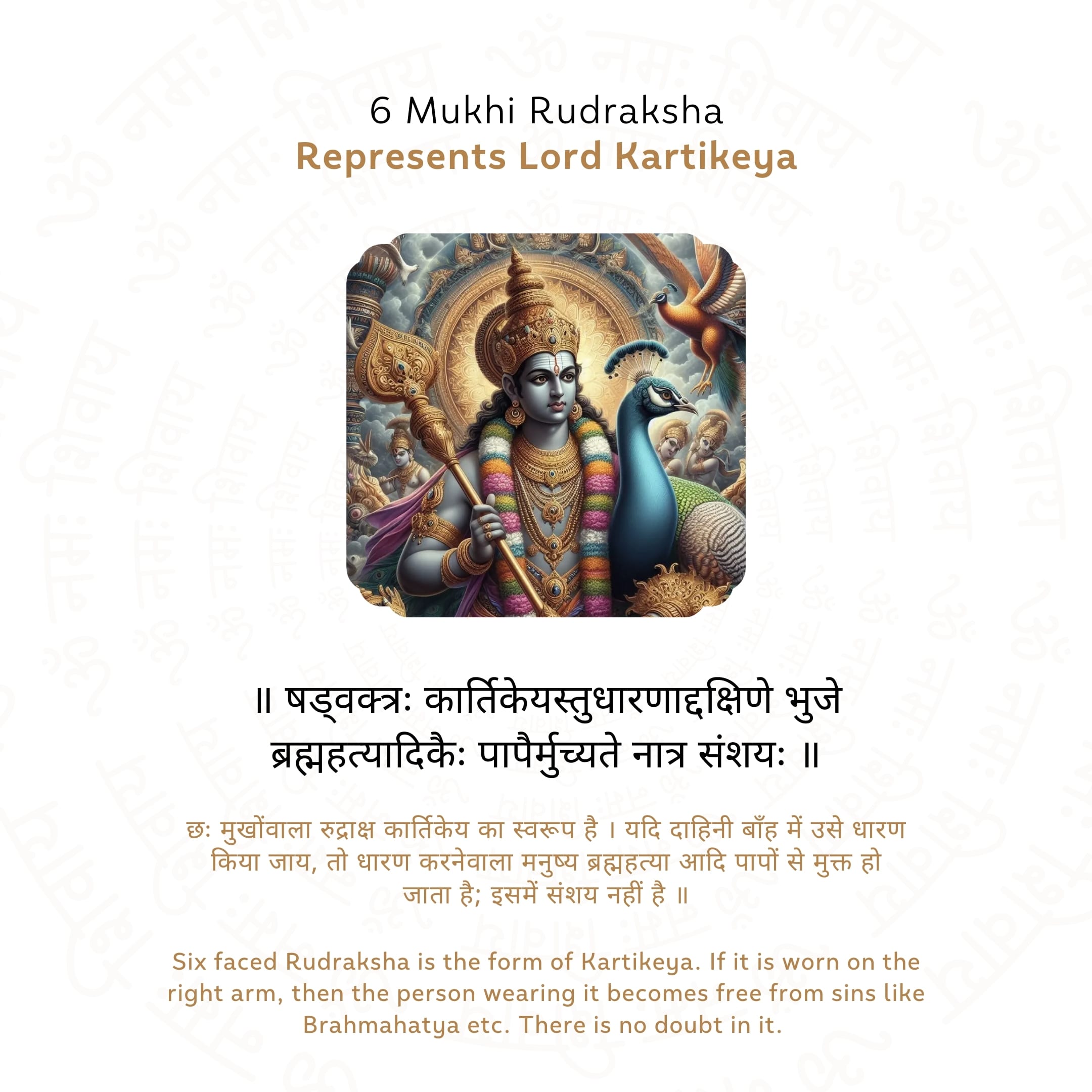 6 Mukhi Rudraksha Story