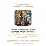 6 Mukhi Rudraksha Story