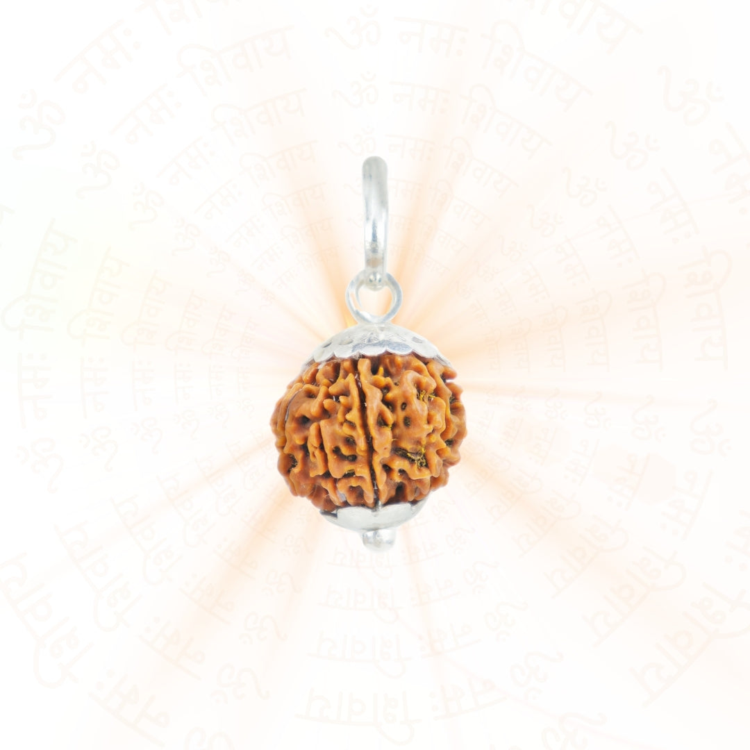 Silver Capping 9 Mukhi Rudraksha Pendant With Chain  ( Nepali )