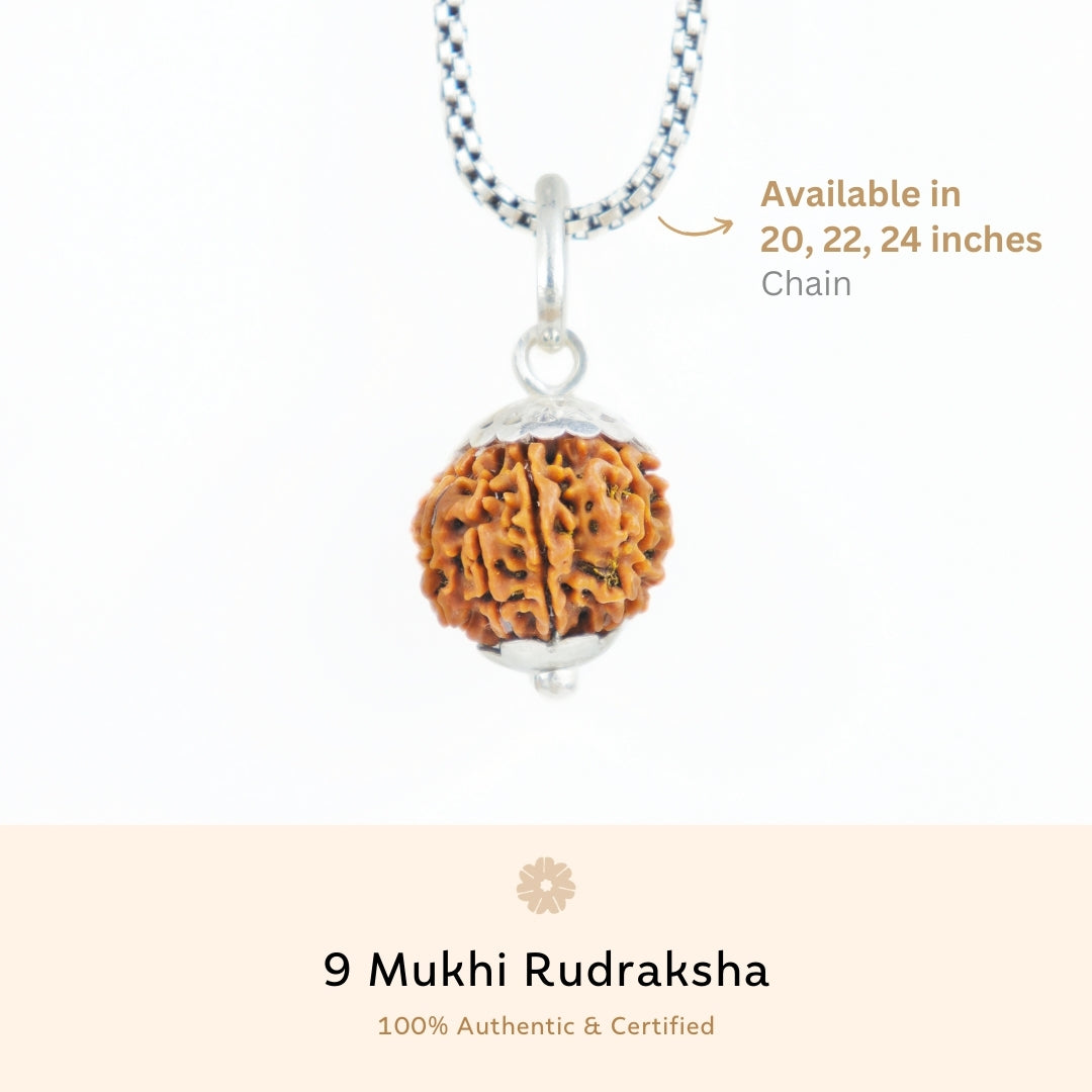 Silver Capping 9 Mukhi Rudraksha Pendant With Chain  ( Nepali )