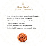 Benefits of 7 Mukhi Rudraksha