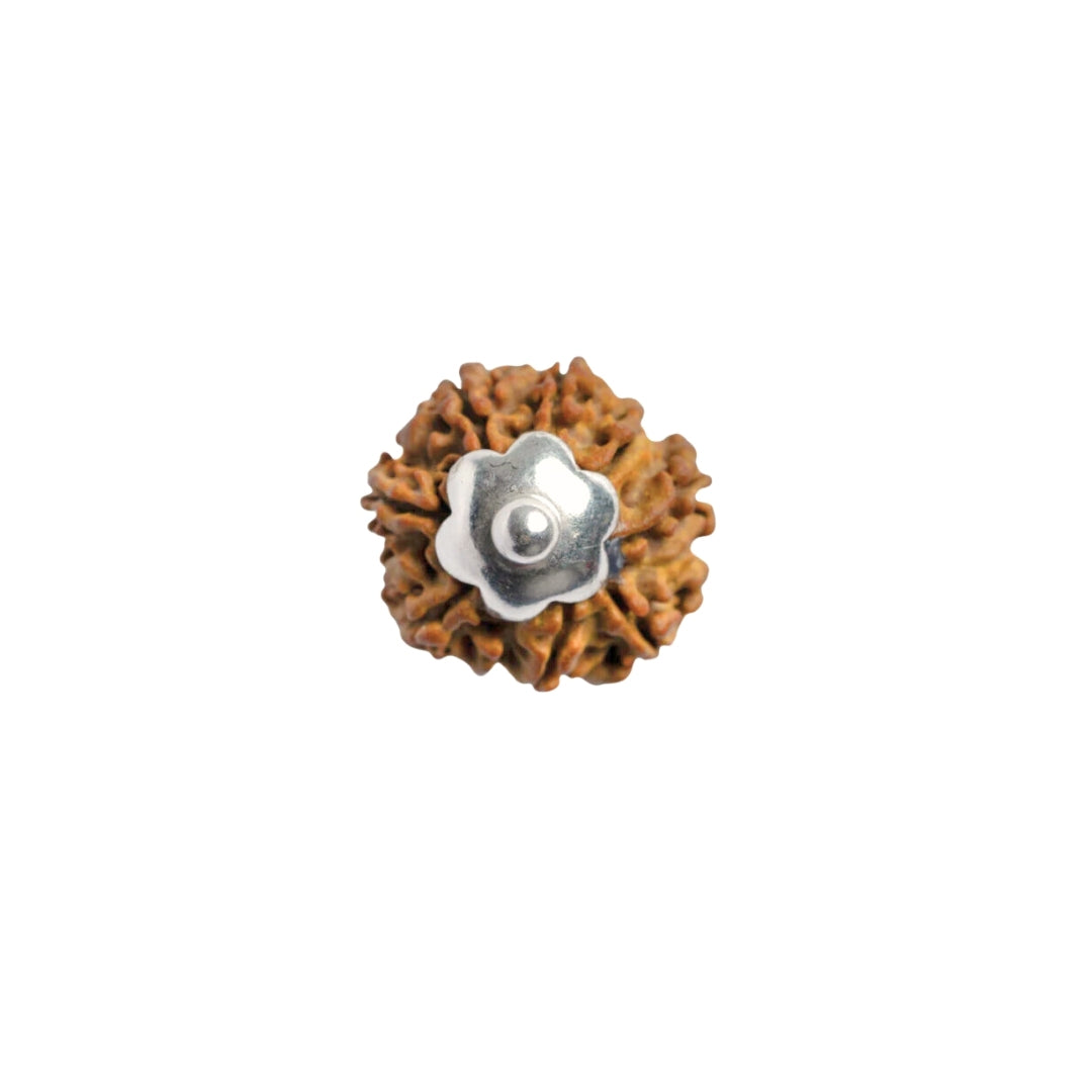 9 Mukhi Rudraksha Silver Capping Pendant ( Nepali )