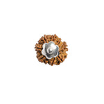 9 Mukhi Rudraksha Silver Capping Pendant ( Nepali )