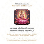 7 Mukhi Rudraksha Story