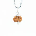 10 Mukhi Rudraksha Silver Capping Pendant ( Nepali )