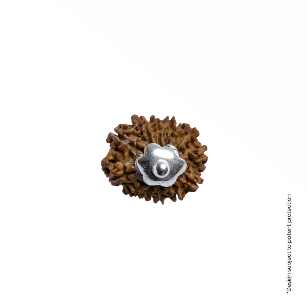 Adiyogi Pendant (12 Mukhi Nepali Rudraksha)