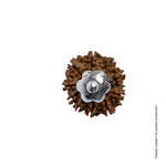 Adiyogi Pendant (10 Mukhi Nepali Rudraksha)