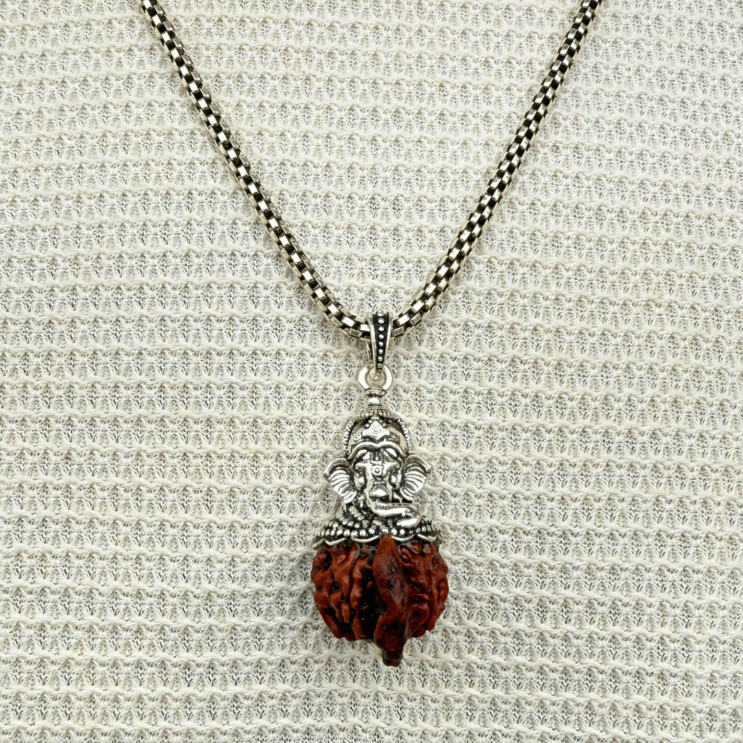 Ganesh Mukhi Rudraksha 