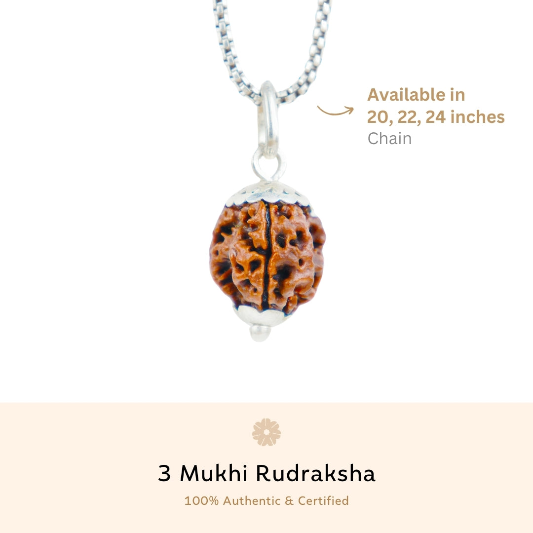 Orignal Silver Capping 3 Mukhi Rudraksha Pendant With Chain