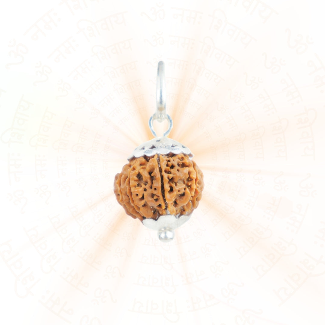 Silver Capping 10 Mukhi Rudraksha Pendant With Chain ( Nepali )