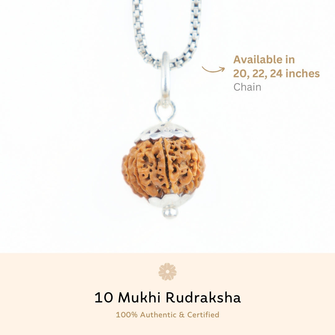 Silver Capping 10 Mukhi Rudraksha Pendant With Chain ( Nepali )