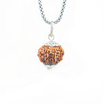 Silver Capping 11 Mukhi Rudraksha Pendant With Chain 